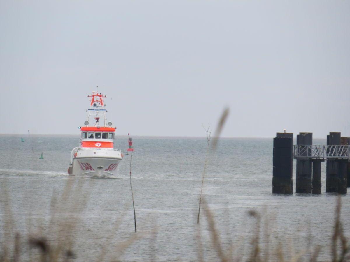 Ferienwohnung Heckenrose-5-Eg-Rechts Norddorf auf Amrum Exterior foto